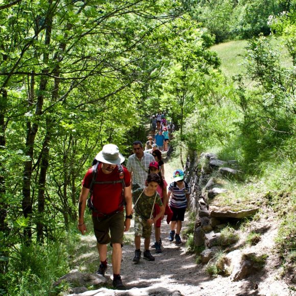 Ecomuseo Famiglie | Il grande bosco